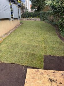 WhatsApp Image 2026-03-18 at 14.08.24 (2)