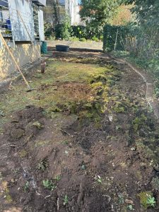 WhatsApp Image 2026-03-18 at 14.08.26