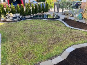 WhatsApp Image 2026-03-18 at 15.16.43