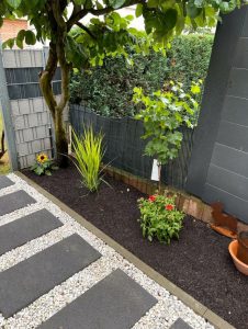 WhatsApp Image 2026-03-18 at 15.16.58